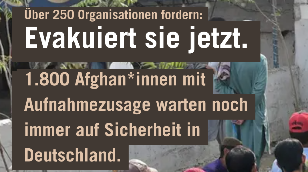  Auf dem Bild ist eine Gruppe von Personen zu sehen, die anscheinend in einer Reihe oder Menge stehen und von hinten aufgenommen wurden. Sie tragen verschiedene traditionelle und alltägliche Kleidung sowie Kopfbedeckungen in unterschiedlichen Farben. Im oberen Teil des Bildes befindet sich ein großer Text in deutscher Sprache, der lautet: Über 250 Organisationen fordern: Evakuiert sie jetzt. 1.800 Afghan*innen mit Aufnahme-zusage warten noch immer auf Sicherheit in Deutschland. Im Hintergrund sind Teile einer Gebäudewand und ein beschriftetes Schild mit dem Pepsi-Logo zu erkennen. Unten links steht die Quellenangabe für das Foto: Foto: www.Bundesregierung.de.